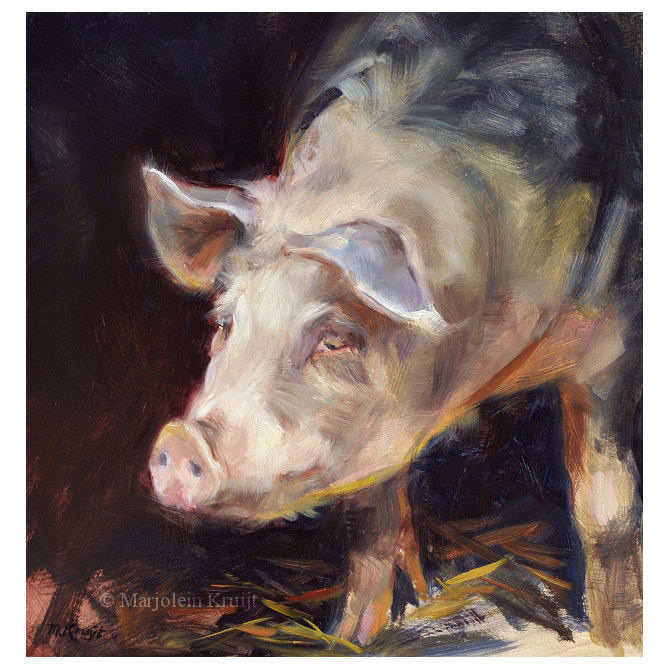 Ruim Verwoesting Herziening varken schilderij te koop (varkenskunst)- Marjolein Kruijt kunstenaar