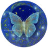 'Magical night butterfly', 16/18cm rond olieverf schilderij met goudpoeder (te koop)