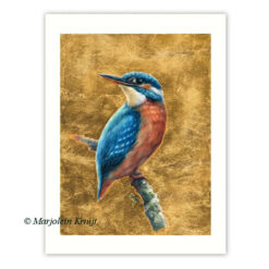 'ijsvogel - goud', giclee artprint limited edition van vogel schilderij (te koop)