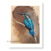 'ijsvogel', giclee artprint limited edition van vogel schilderij (te koop)