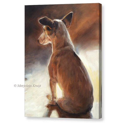 'Jack Russell'- Artprint op Canvas [te koop]