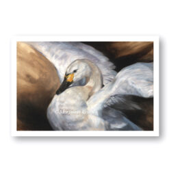 'Gracious swan', HQ giclée art print, interieur design reproductie van kunst [te koop]