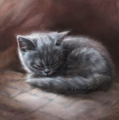 'Sleeping beauty'- Europese korthaar kitten, 20x20cm, olieverf schilderij (te koop)